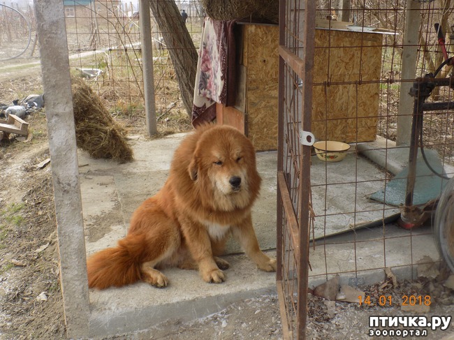 ���� 1: ����������, ���������