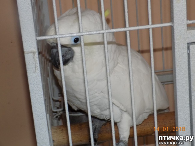 ���� 6: ����������, ���������