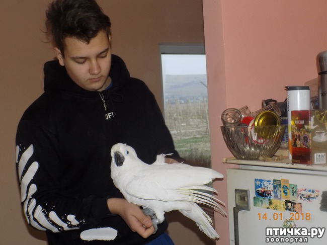 ���� 7: ����������, ���������