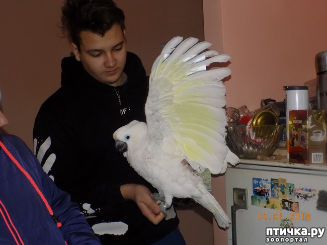 ���� 8: ����������, ���������