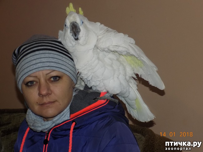 ���� 9: ����������, ���������