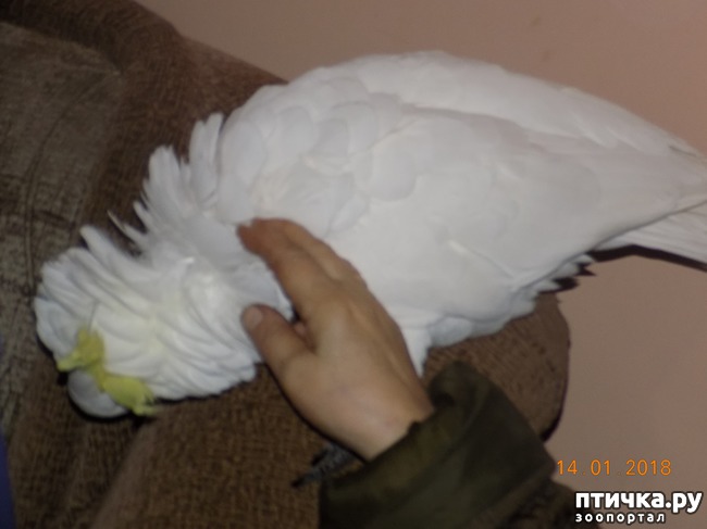 ���� 12: ����������, ���������