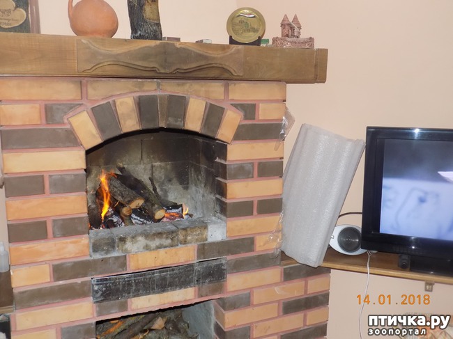 ���� 13: ����������, ���������