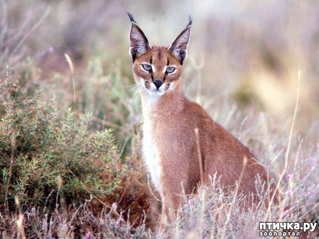 ���� 8: �������: �������� ������� � ����� ����