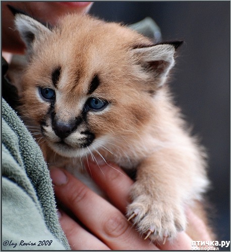 ���� 5: �������: �������� ������� � ����� ����