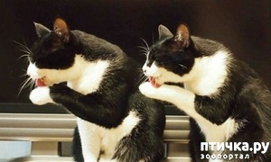 ����: �������������, �� �������� ������� ���� � ����� ����� ������������������