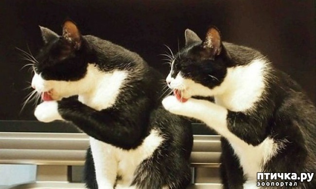 ���� 1: �������������, �� �������� ������� ���� � ����� ����� ������������������