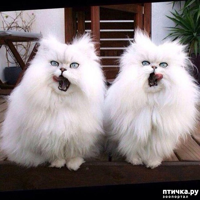 ���� 2: �������������, �� �������� ������� ���� � ����� ����� ������������������