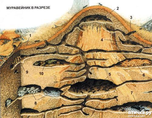 ���� 2: ���������� � ��������. ��� ������� ����������.