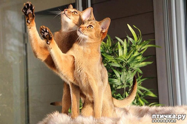 ���� 14: �������������, �� �������� ������� ���� � ����� ����� ������������������