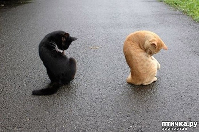 ���� 17: �������������, �� �������� ������� ���� � ����� ����� ������������������