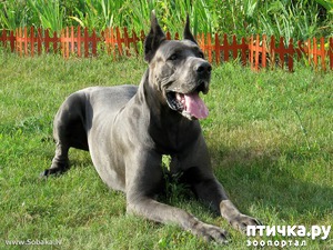 ����: �����! �� ���! �����!))