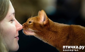 ����: ������� � �����