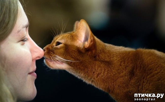 ���� 1: ������� � �����