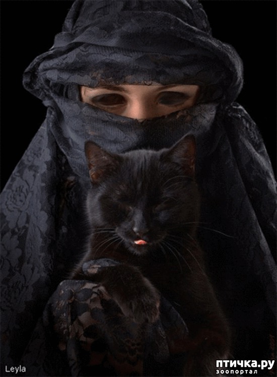 ���� 4: ������� � �����