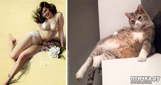 ���� 6: ������� � �����