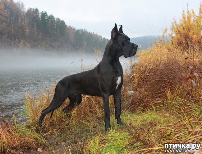 ���� 2: �����! �� ���! �����!))