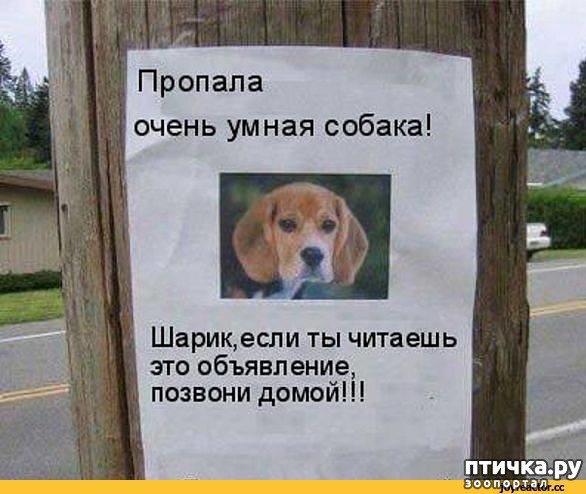 ���� 3: ������� ����. ����� 2-�.