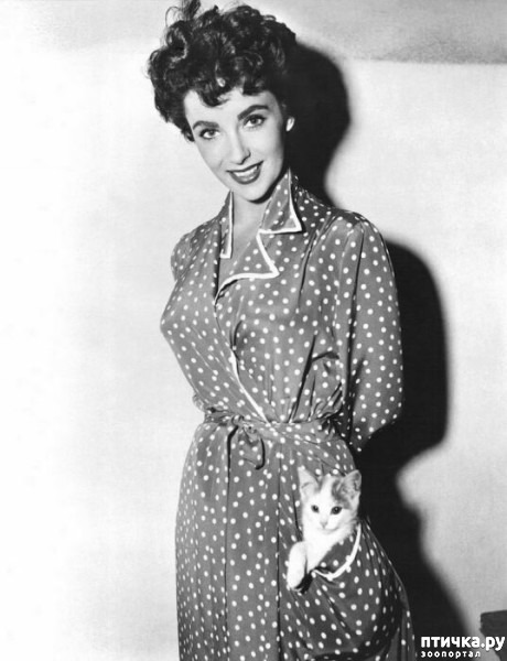 ���� 12: ������� � �����