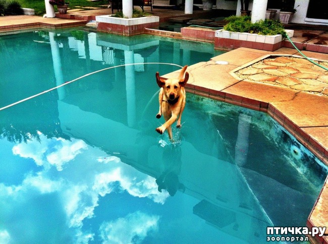 ���� 2: ��������� �������������: ��������� �����-2!