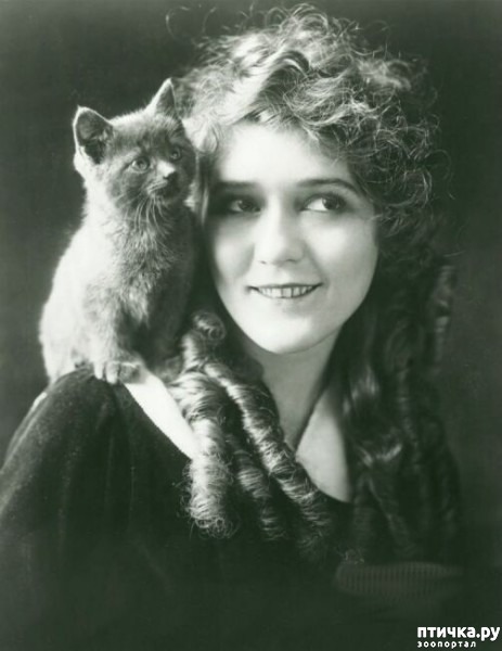 ���� 14: ������� � �����