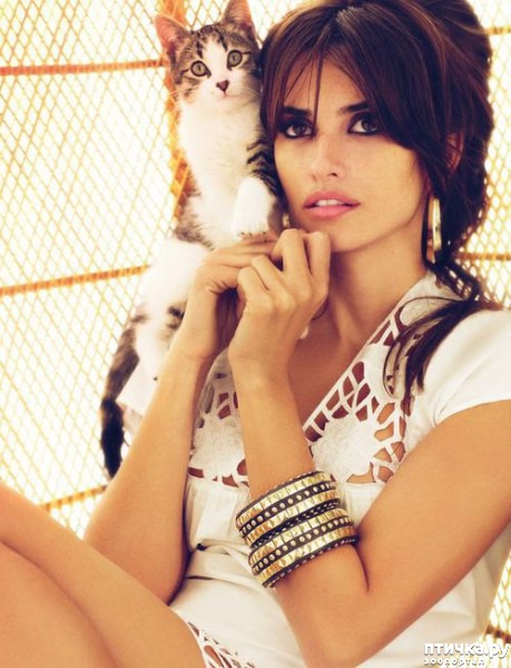 ���� 16: ������� � �����