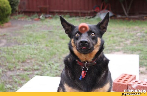 ���� 5: ��������� �������������: ��������� �����-2!