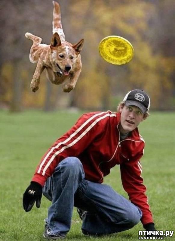 ���� 9: ��������� �������������: ��������� �����-2!