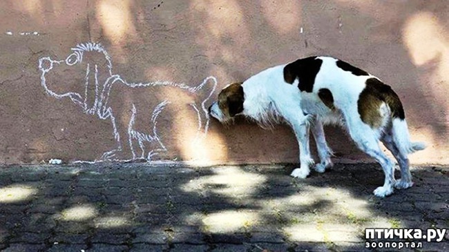 ���� 13: ��������� �������������: ��������� �����-2!