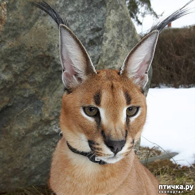 ���� 2: �������: �������� ������� � ����� ����