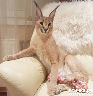 ����: �������: �������� ������� � ����� ����