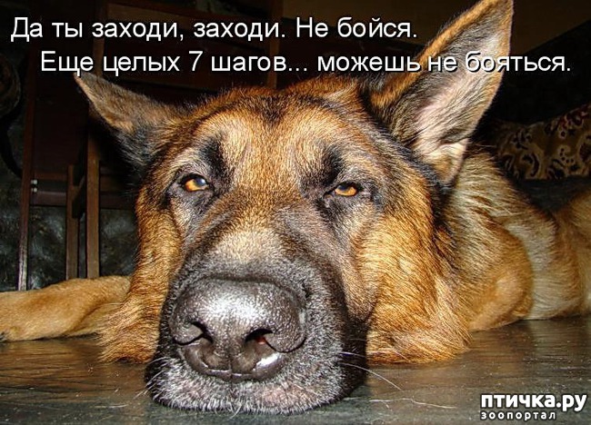 ���� 4: ������� ����. ����� 2-�.