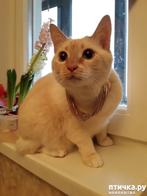 ����: ��� 5. ������� ���������.