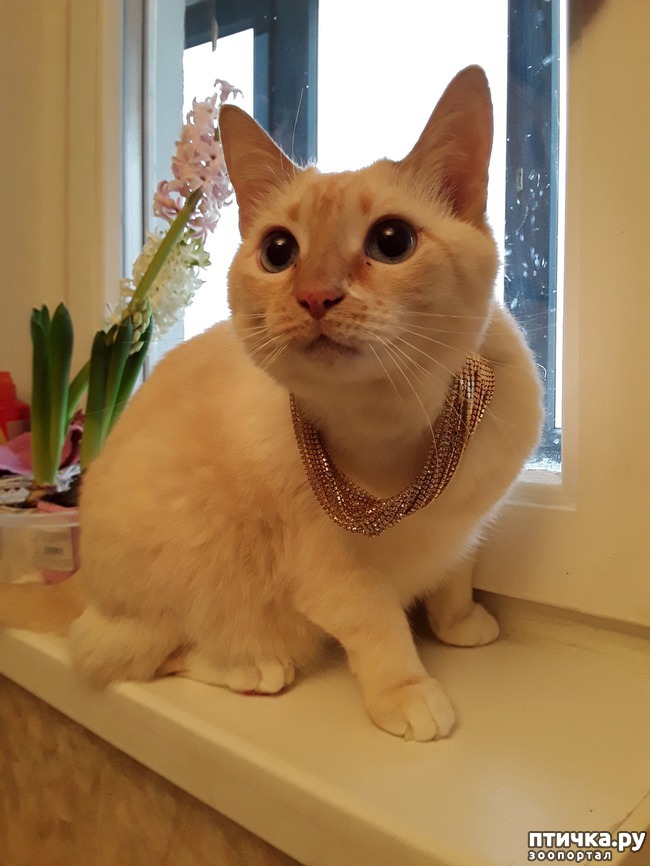 ���� 1: ��� 5. ������� ���������.