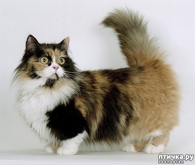 ���� 1: ������� ������ ����� � ��������� ������