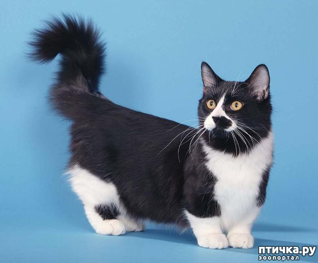 ���� 2: ������� ������ ����� � ��������� ������