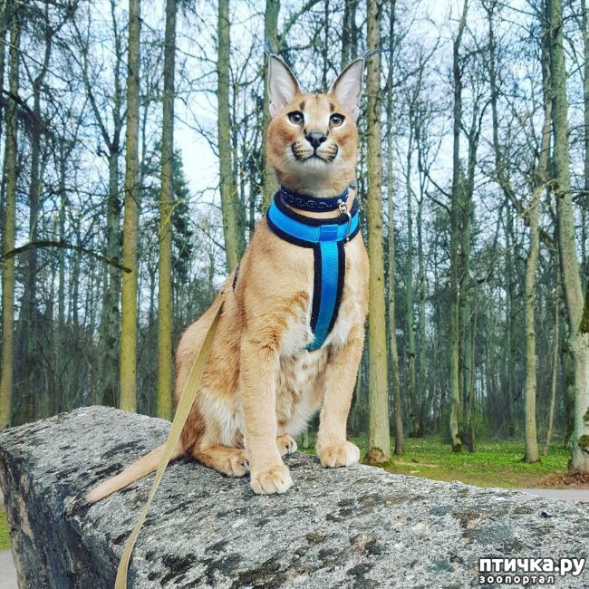 ���� 6: �������: �������� ������� � ����� ����