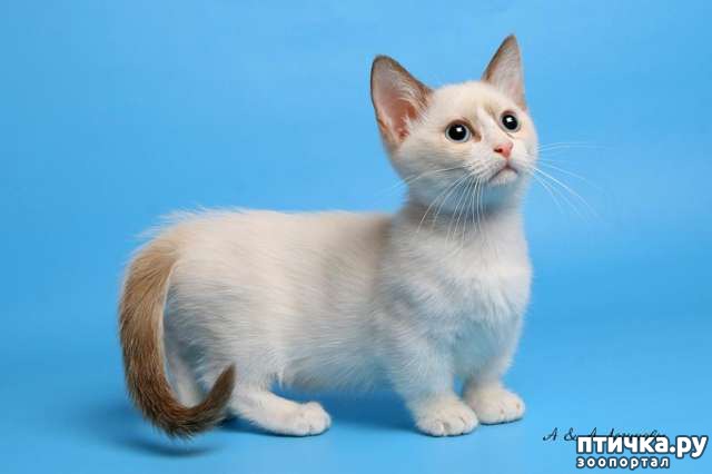 ���� 3: ������� ������ ����� � ��������� ������