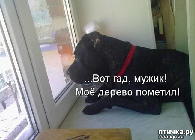 ���� 5: ������� ����. ����� 2-�.