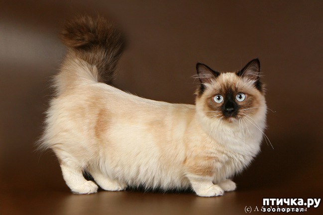 ���� 4: ������� ������ ����� � ��������� ������