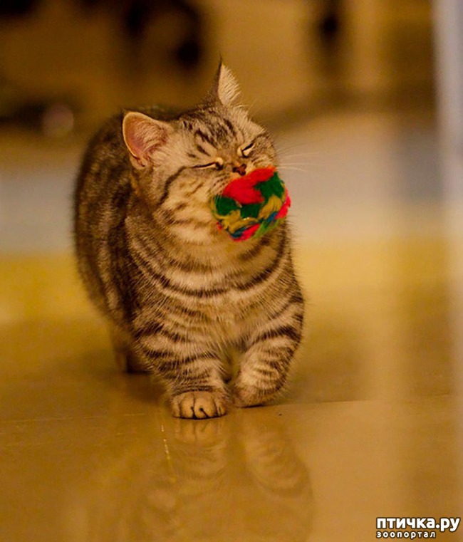 ���� 5: ������� ������ ����� � ��������� ������