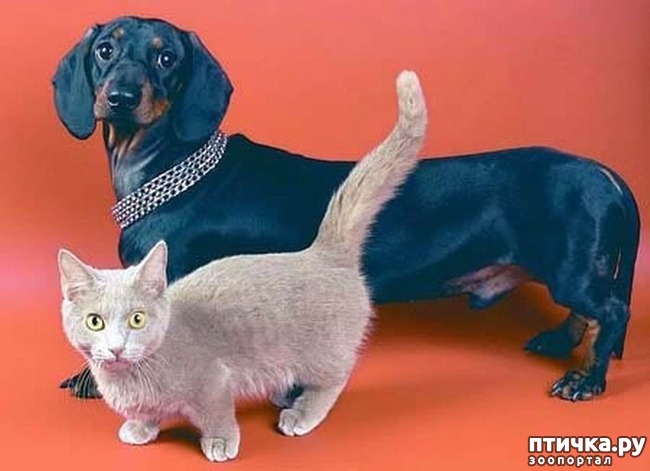 ���� 7: ������� ������ ����� � ��������� ������