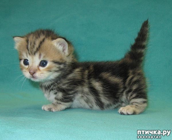 ���� 8: ������� ������ ����� � ��������� ������