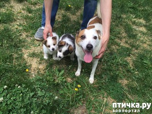 ����: ������� ������ ��������� ��������� ����� ������ � ������� ��������