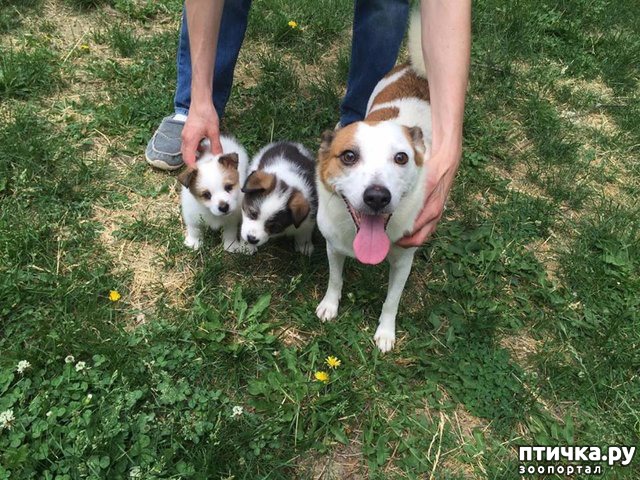 ���� 1: ������� ������ ��������� ��������� ����� ������ � ������� ��������