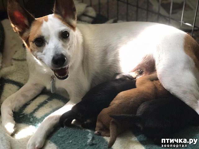 ���� 2: ������� ������ ��������� ��������� ����� ������ � ������� ��������