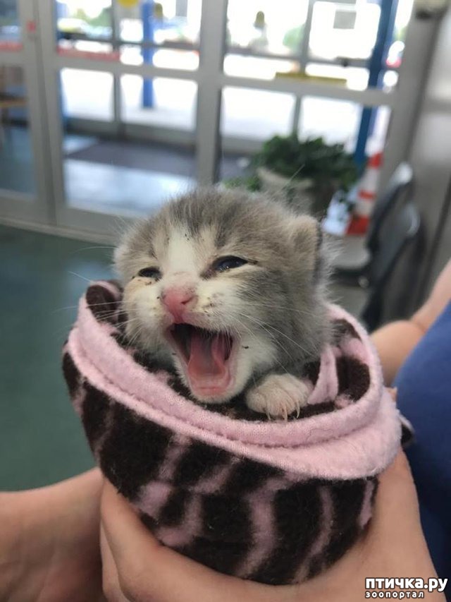 ���� 3: ������� ������ ��������� ��������� ����� ������ � ������� ��������