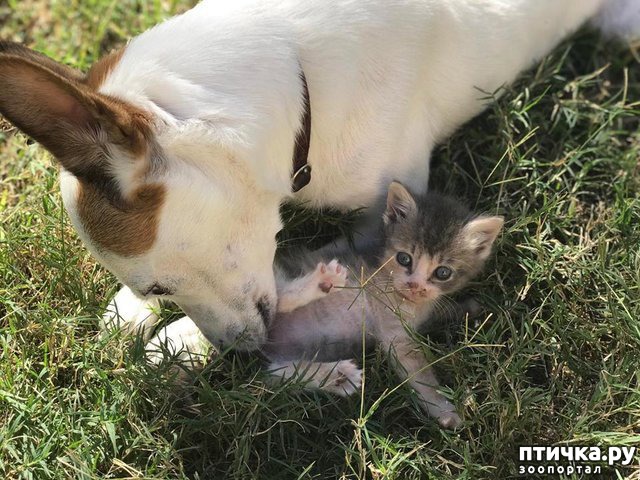 ���� 4: ������� ������ ��������� ��������� ����� ������ � ������� ��������