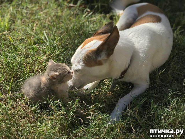 ���� 5: ������� ������ ��������� ��������� ����� ������ � ������� ��������