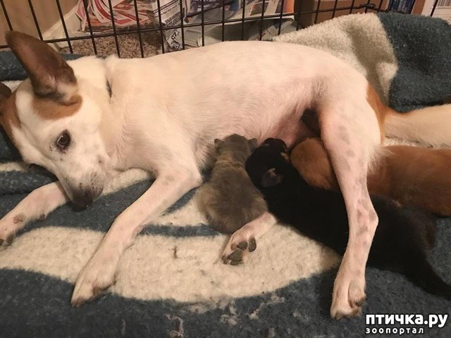 ���� 6: ������� ������ ��������� ��������� ����� ������ � ������� ��������